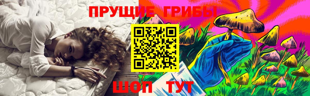 Галлюциногенные грибы Psilocybe  Вход с VPN  Рославль 
