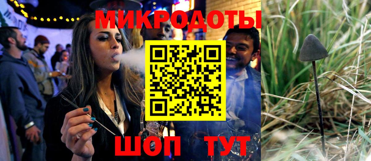 Псилоцибиновые грибы MAGIC MUSHROOMS Рославль